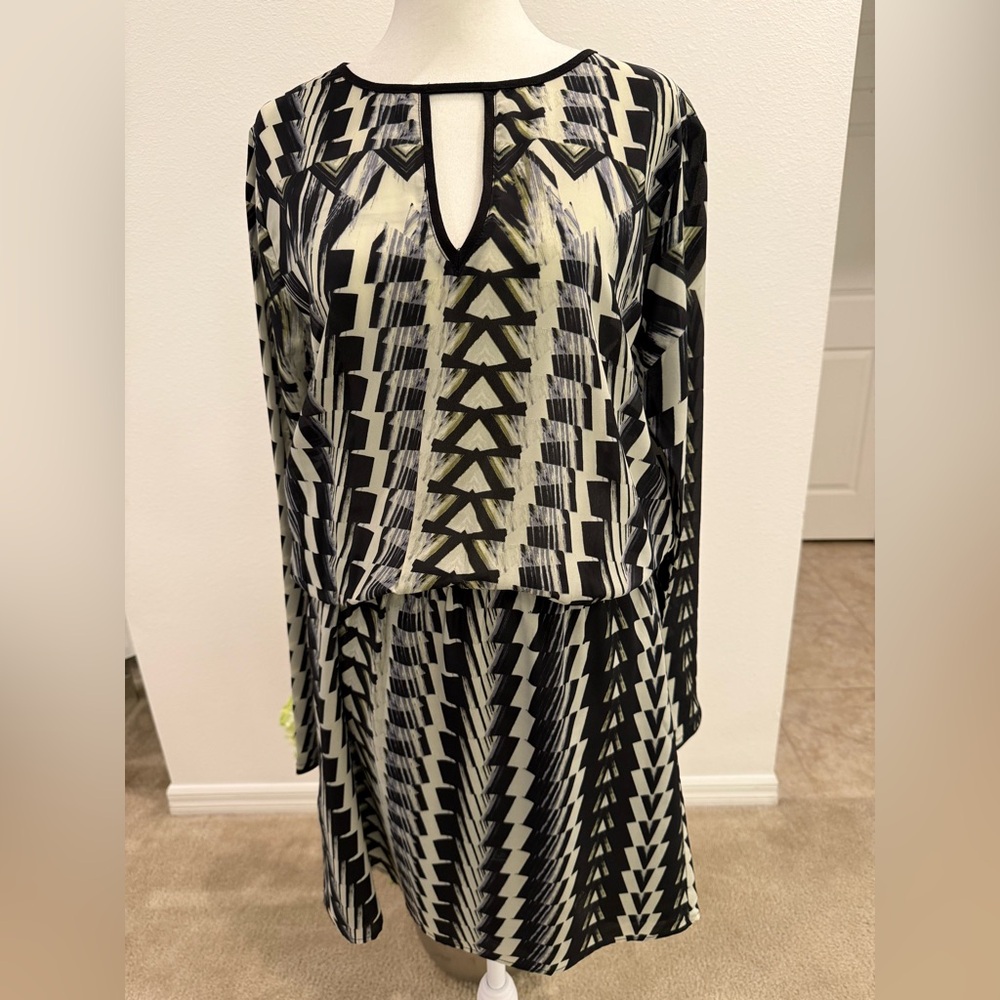 Black and White Plunge Neck Bishop Sleeve Dress